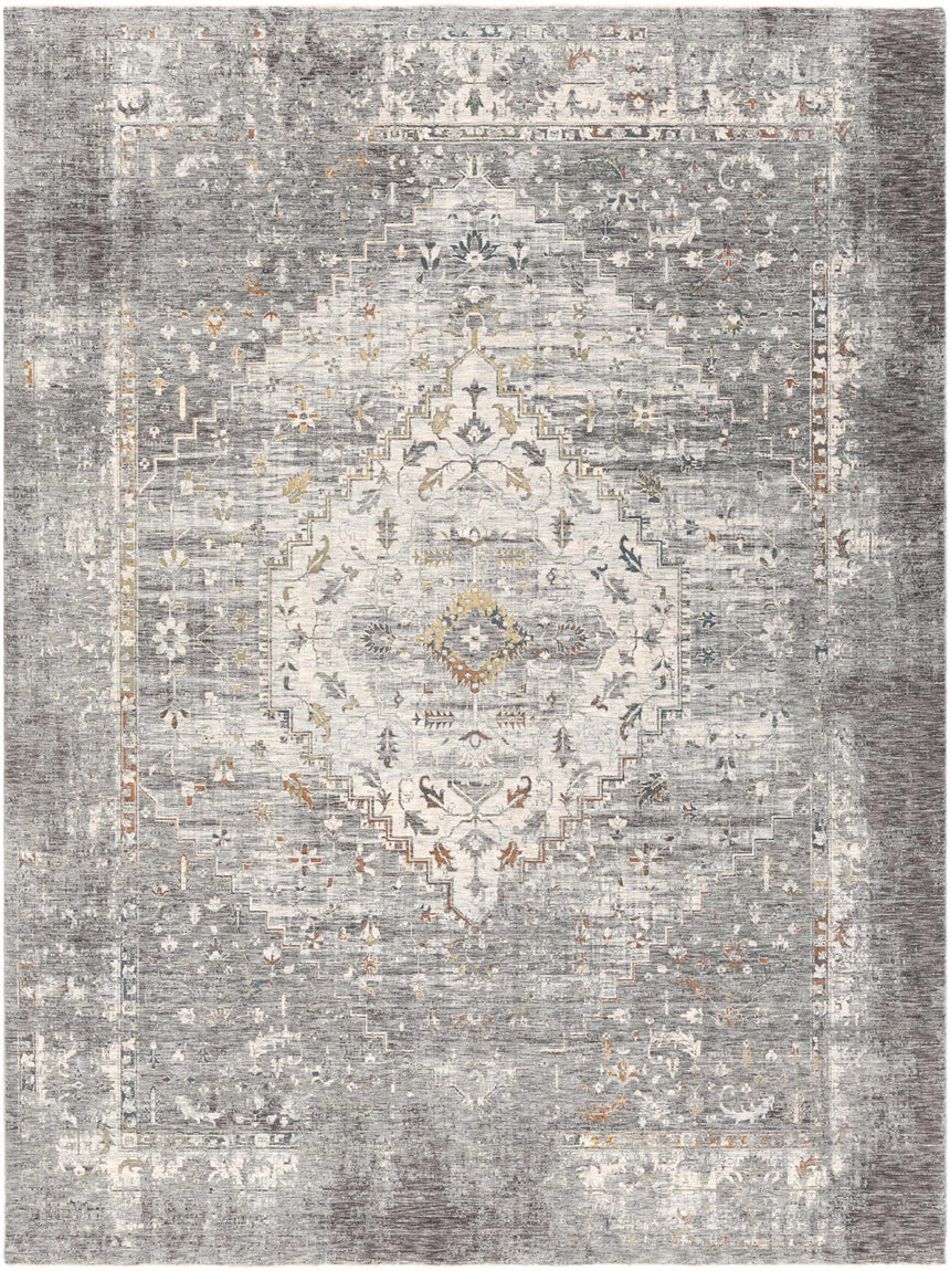 Boli Distressed Statement Rug