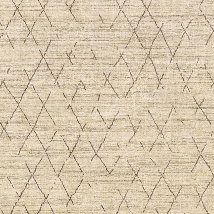 Close up of Bonogin Area Rug. Hand loomed viscose rug with dark brown geometric diamond pattern on tan background. Swatch