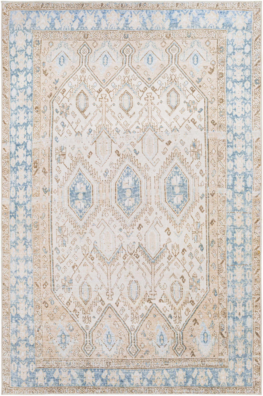 Close-up of the Buayan Washable Area Rug. Features traditional oriental rug patterns in cloud gray, light gray, and multi-brown. Design-Rectangle-576