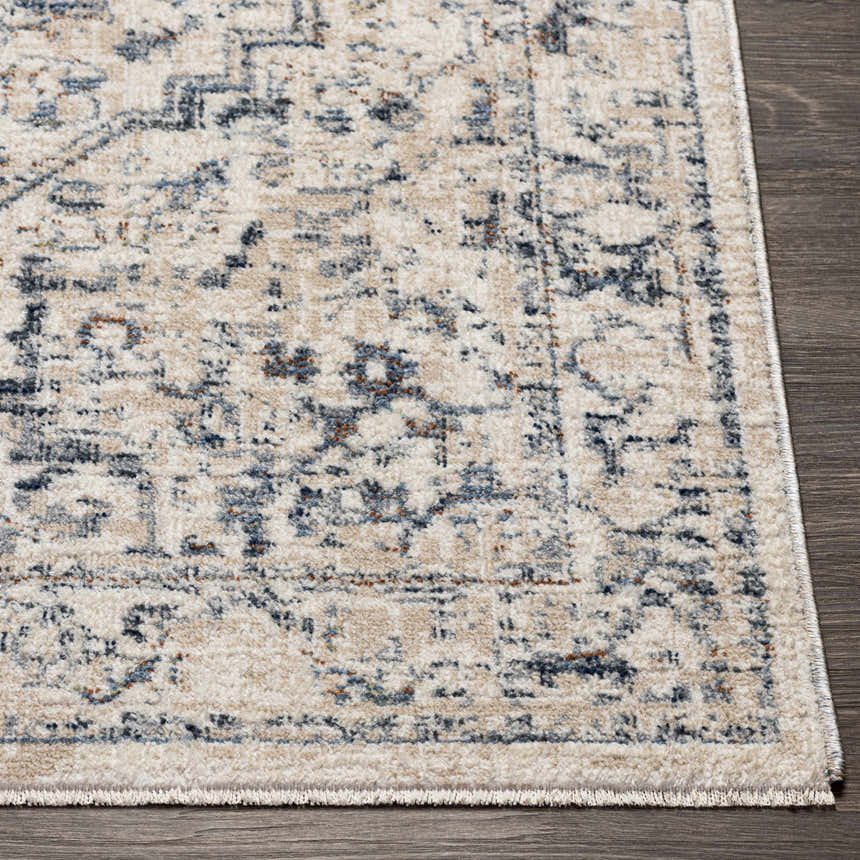 Close up of the Buguey Area Rug, showing its cream, beige, and blue traditional pattern. Front