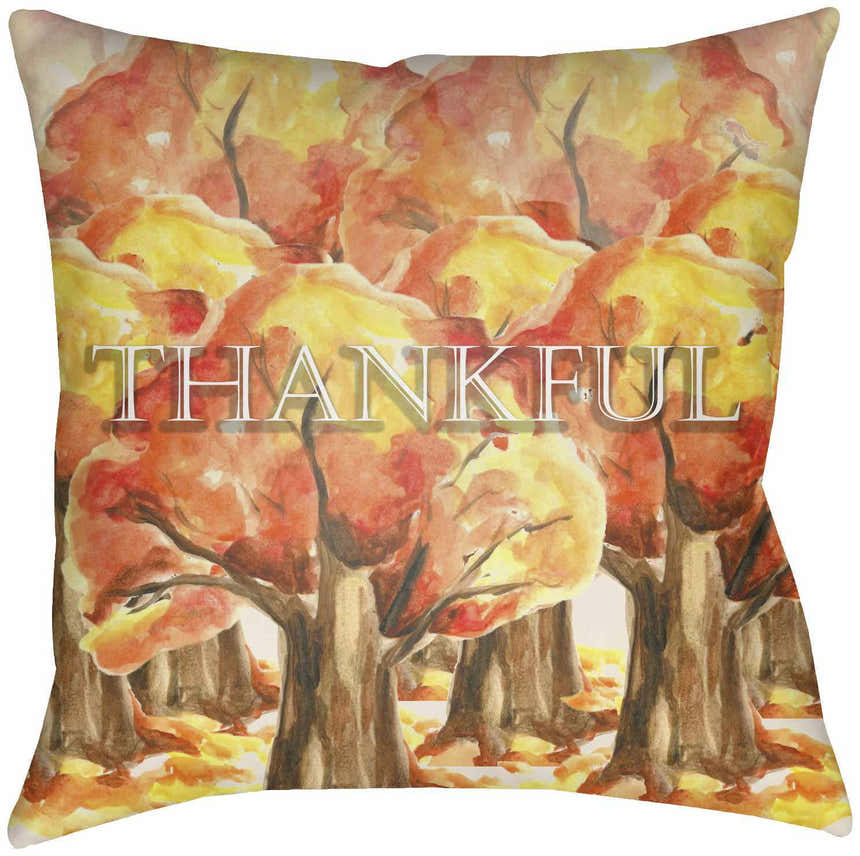 Cagsiay Outdoor Throw Pillow