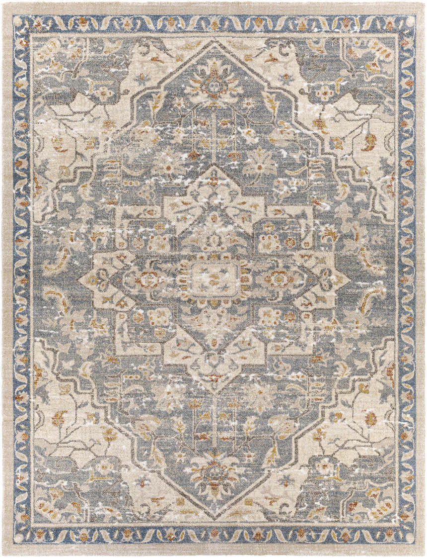 Detailed Chesnee Thick Luxe Rug close-up. Traditional oriental pattern in aqua, blue, gold, and beige. Design-Rectangle-710103