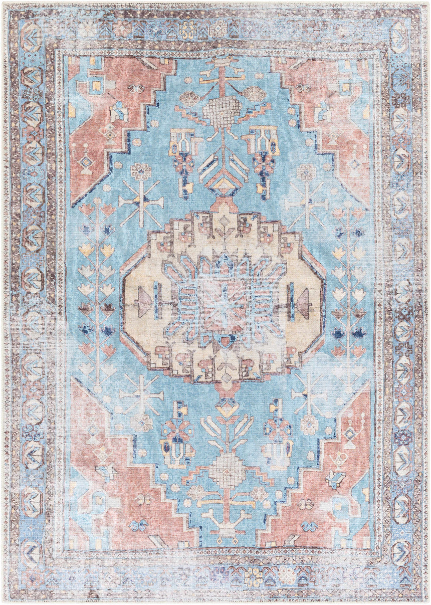 Chiseldon Washable Area Rug - Clearance