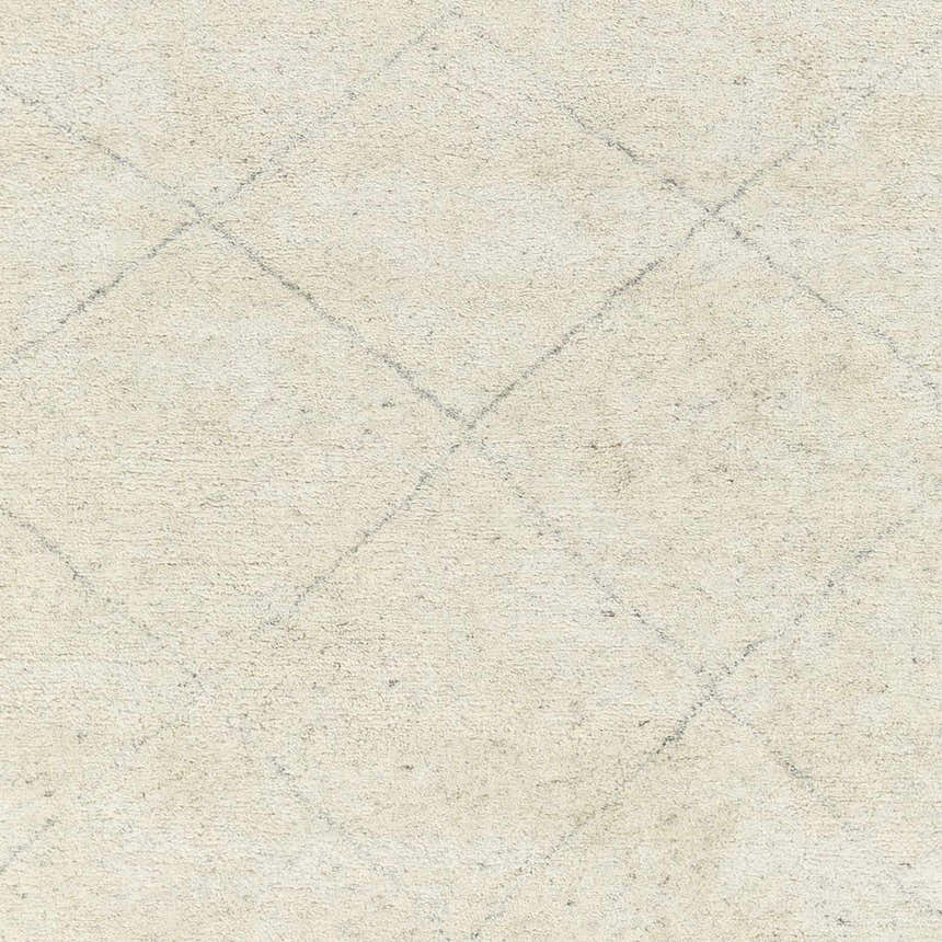 Close-up of the hand-knotted Caramoran Premium Rug. Beige wool and viscose blend with a subtle gray diamond pattern. Swatch