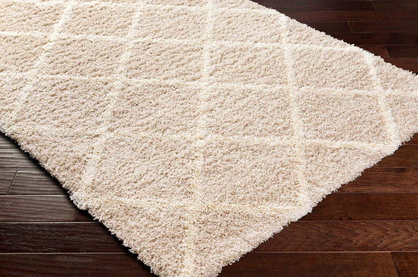 Close-up of a cream Dacre Shag Area Rug with a geometric pattern on dark wood flooring. Soft, cozy texture. Corner