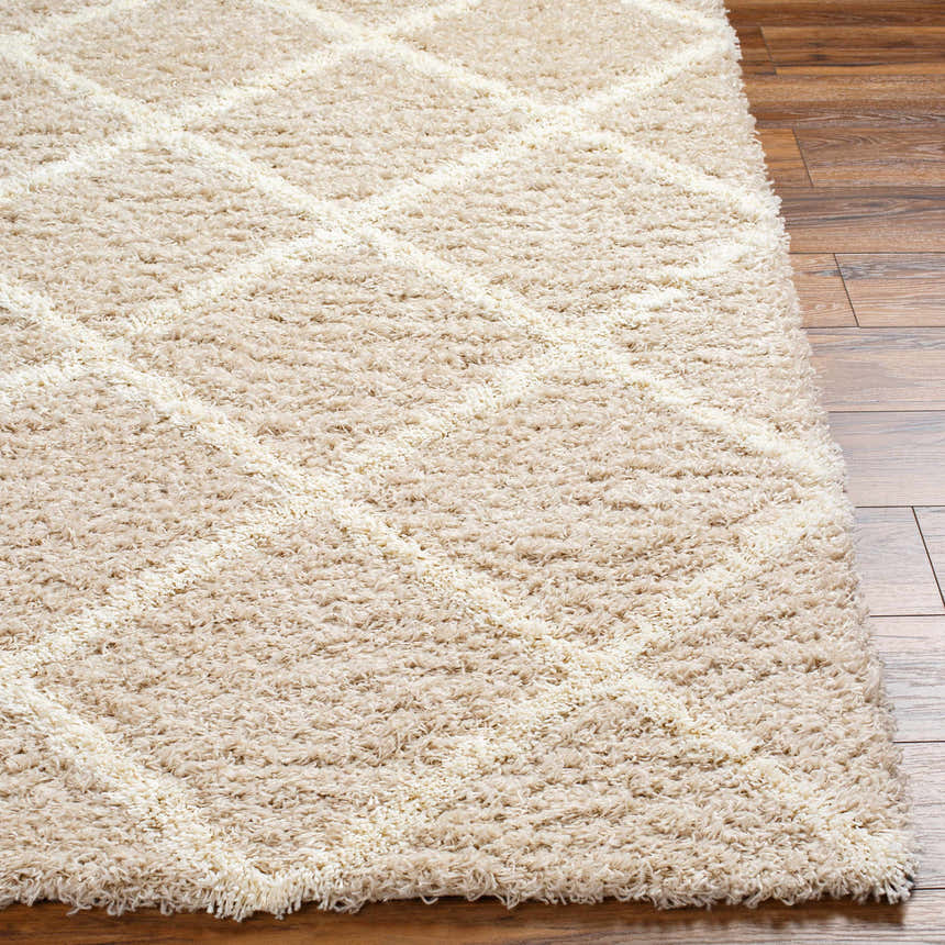 Close-up of the Dacre Shag Area Rug, a farmhouse style rug with a geometric pattern and a soft, plush texture. Front