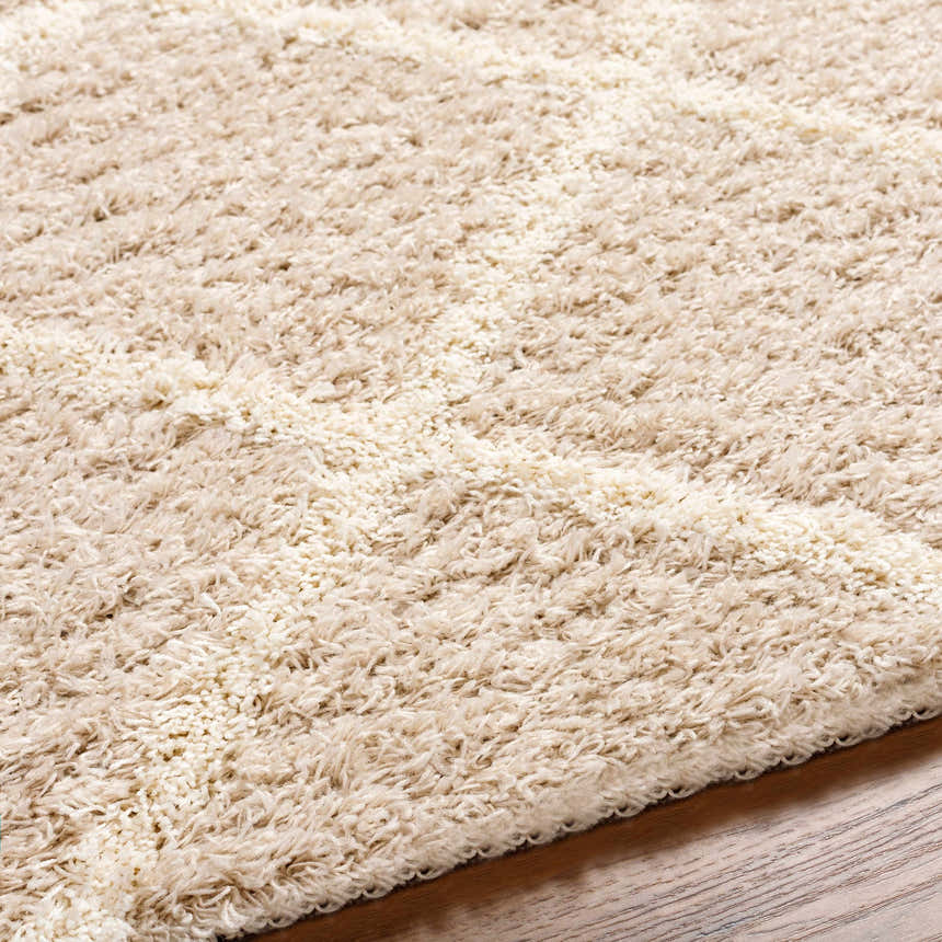 Close up of the plush, ivory Dacre Shag Area Rug showing its soft, textured pile. Texture