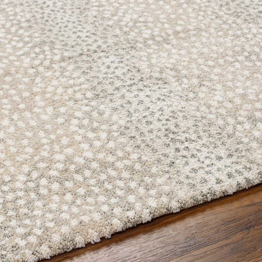 Close-up of the Daiva Luxe Rug, a machine-woven rug with a beige and gray dotted pattern and soft texture on hardwood floor. Texture