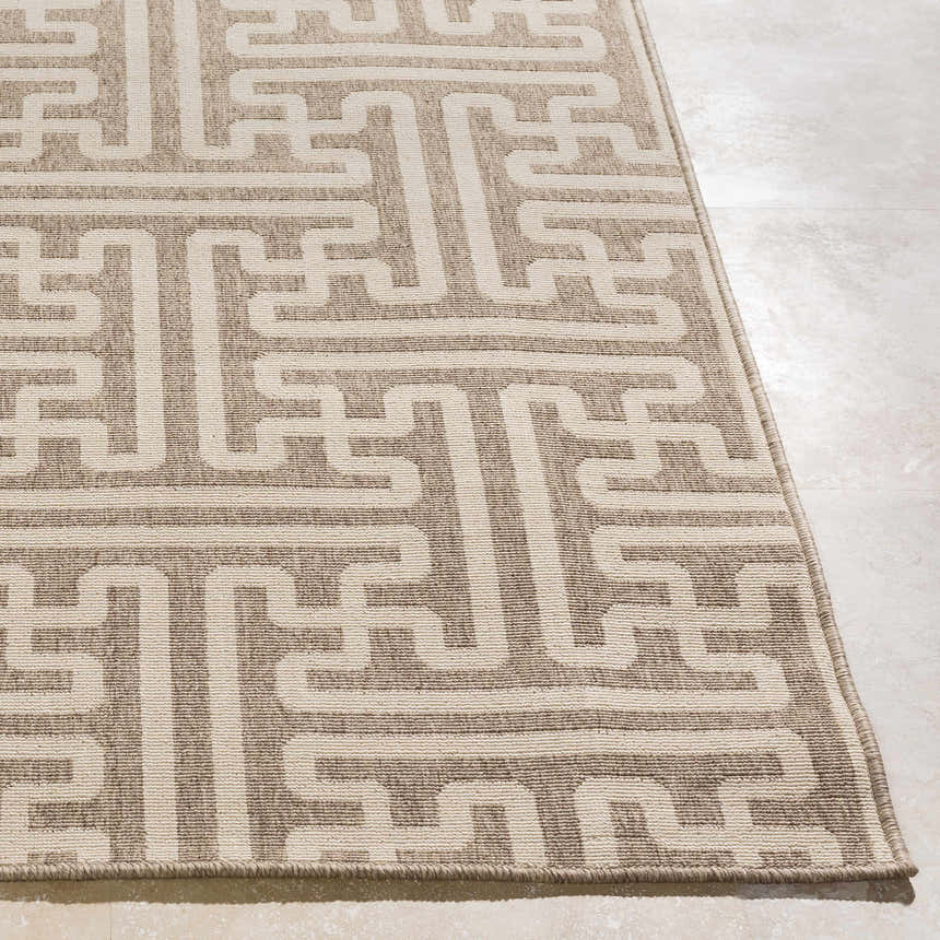 Close-up of the Divernon Area Rug showing a beige and dark red geometric maze-like pattern. Front