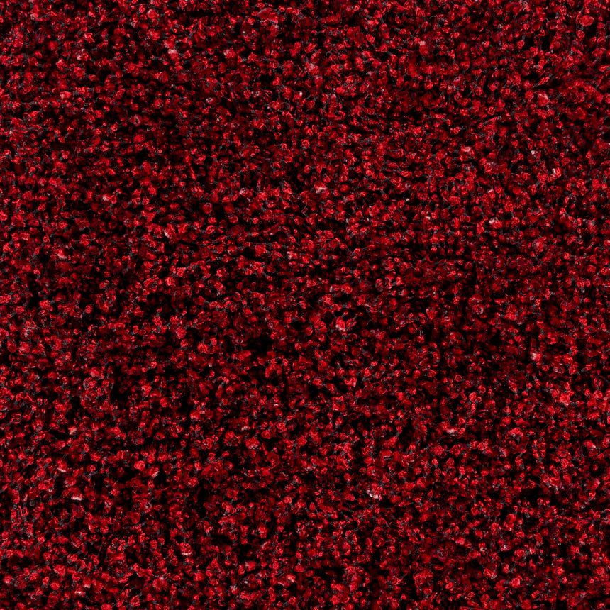 Dorsey Area Rug - Clearance