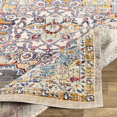 Mortdale Colorful Oriental Rug - Clearance