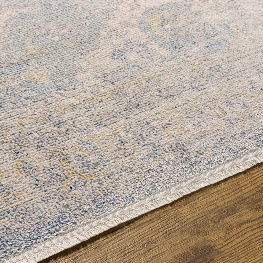 Close-up of the Tusa Blue Area Rug showing its ivory, blue, and gold traditional pattern and textured, machine-woven construction. Texture