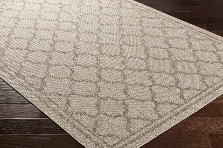 Noam Beige Indoor & Outdoor Rug - Clearance