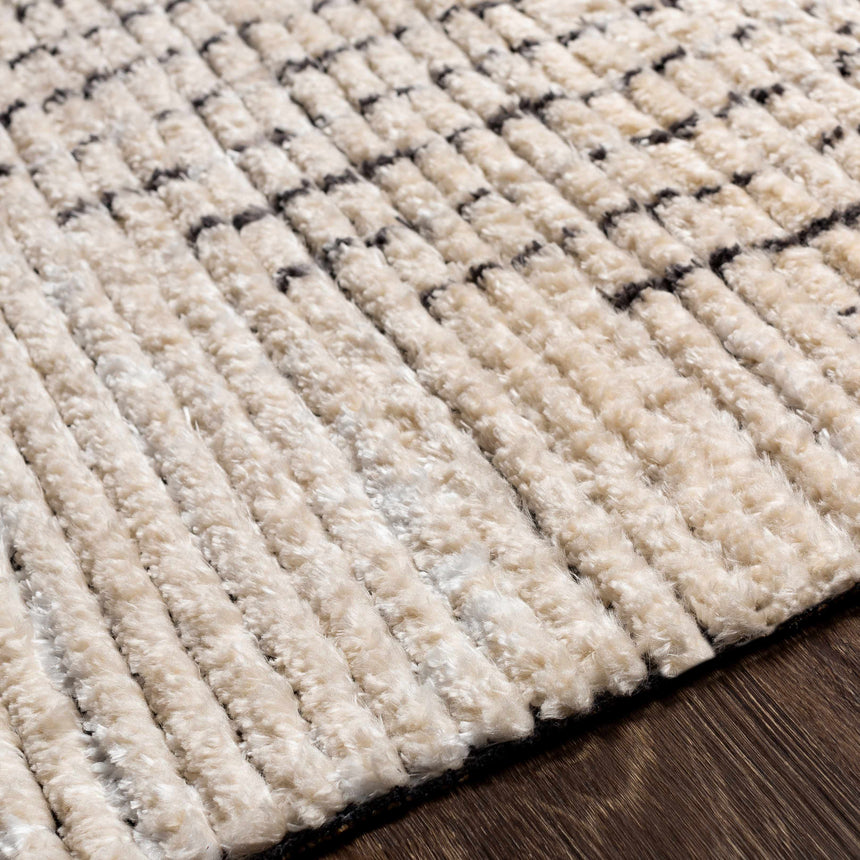 Evsa Area Rug - Clearance