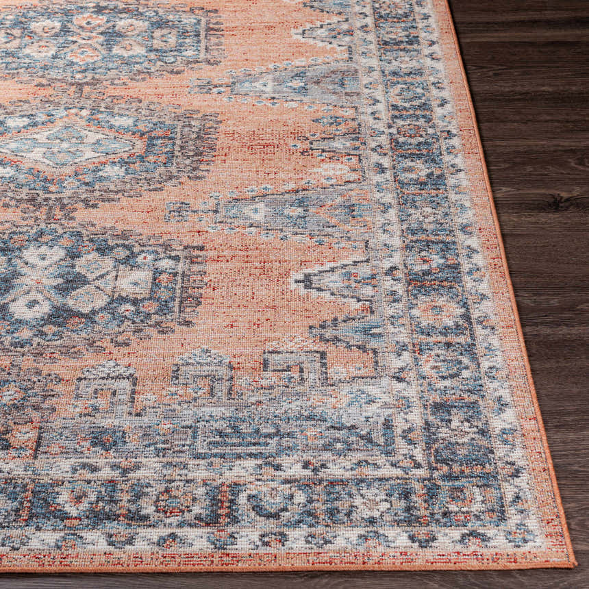 Close-up of the Fullarton Performance Rug showing its beige, blue, and red traditional pattern and woven texture. Front