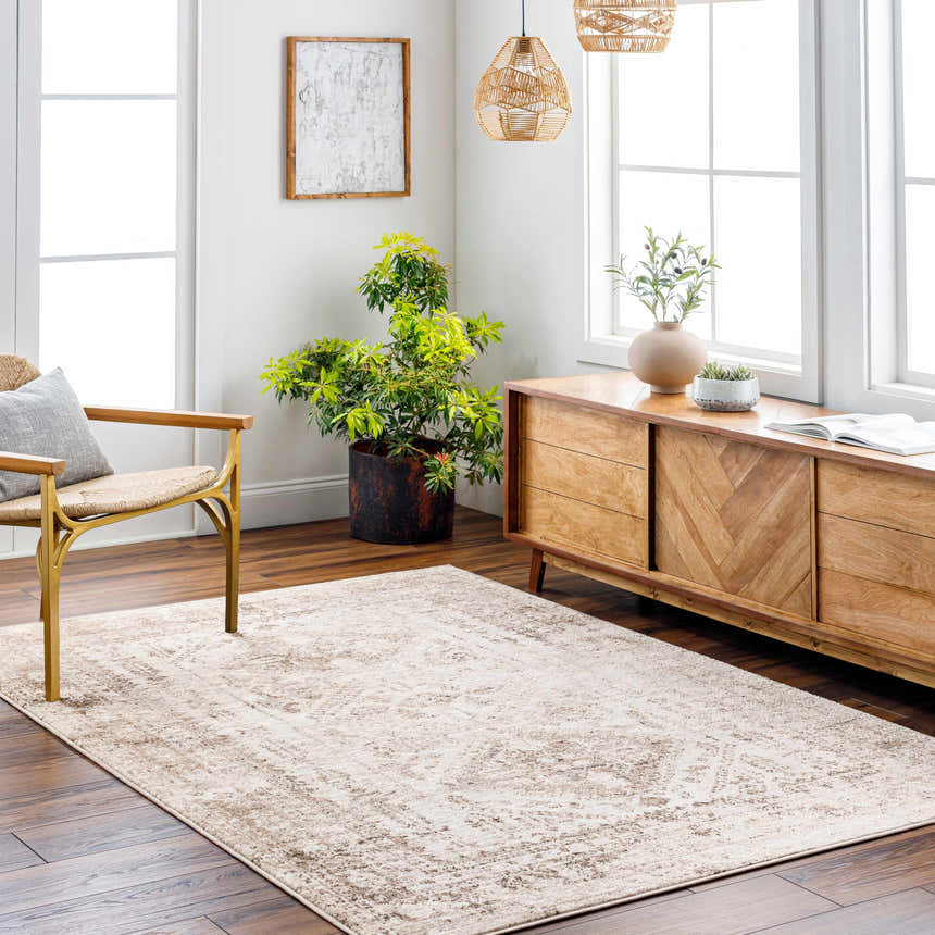 Living room scene with a light brown Gali Area Rug, wooden furniture, and natural light. Roomscene-Rectangle