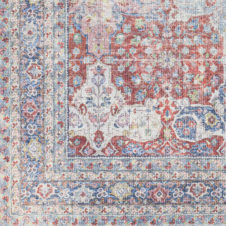 Close-up of the Rust Goma Vintage Area Rug showing its brick red, blush, and blue traditional floral pattern. Swatch