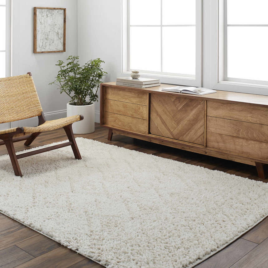 Living room scene with a Grina Area Rug, off-white shag rug, wood console table, woven chair, and bright natural light. Roomscene-Rectangle