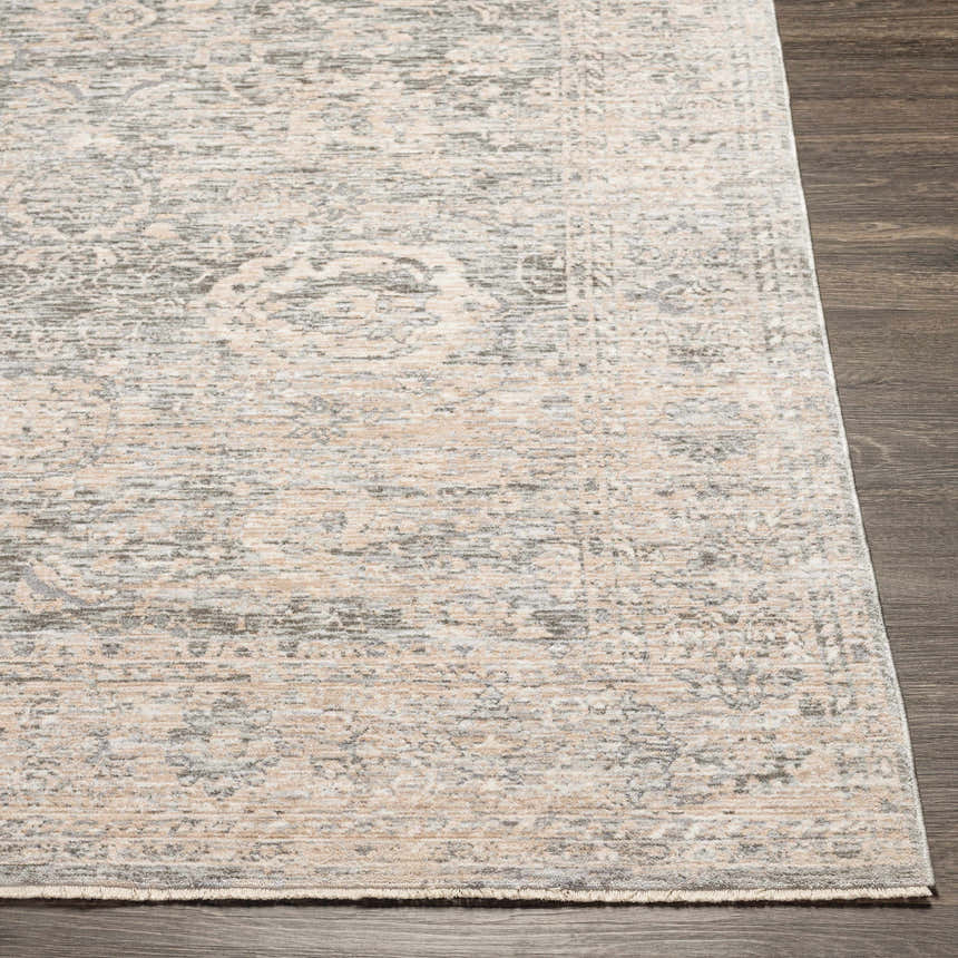 Close up of the Guiwanon Area Rug, showing cream, gray, and peach tones in a traditional, machine-woven pattern. Front
