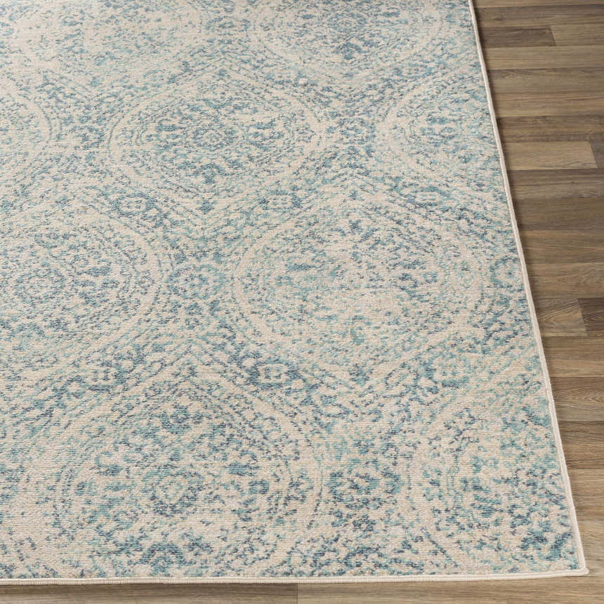 Close-up of the Halbur Area Rug, a clearance item with aqua, beige, and blue medallion pattern on a light gray background. Front