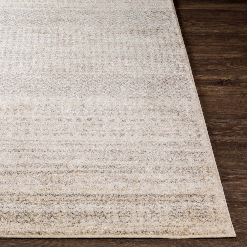 Close-up of the Harpursville Area Rug. Light gray, light brown, and gray tones with a subtle contemporary pattern. Front