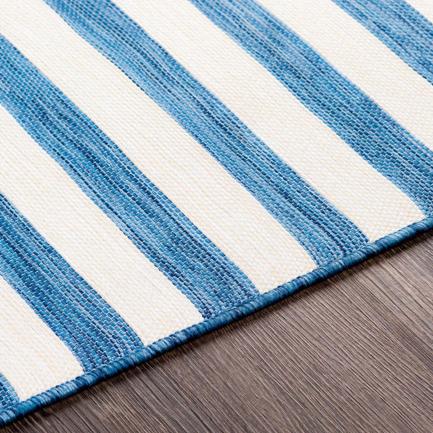Close-up of the Hindsboro Area Rug showing blue and white stripes and woven texture on a wood floor. Texture