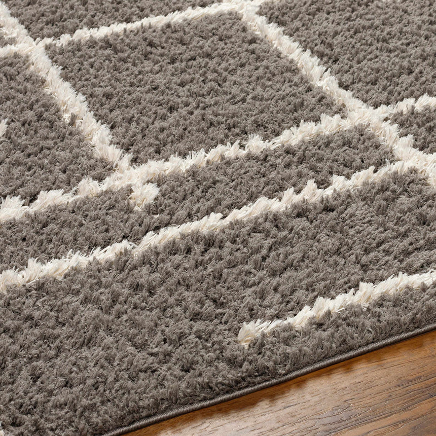 Isoke Area Rug