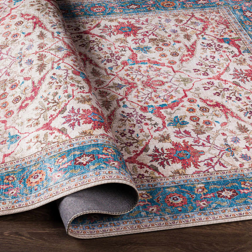 Close-up of the Kislingbury Area Rug. Beige rug with blue border and red, orange, and olive floral pattern. Fold