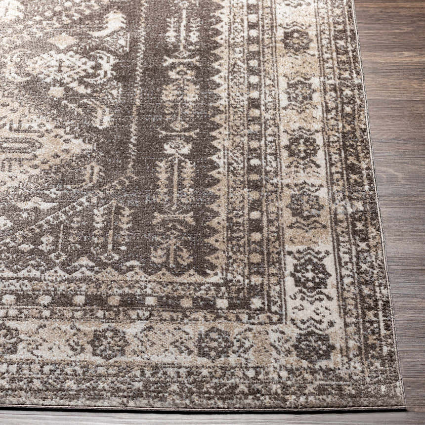 Close-up of the Kingscourt Washable Area Rug. Traditional oriental rug design in cream, taupe, and dark brown colors. Front