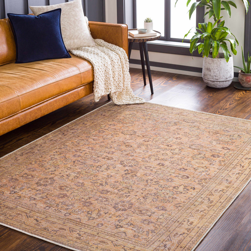 Lapining Washable Area Rug - Clearance