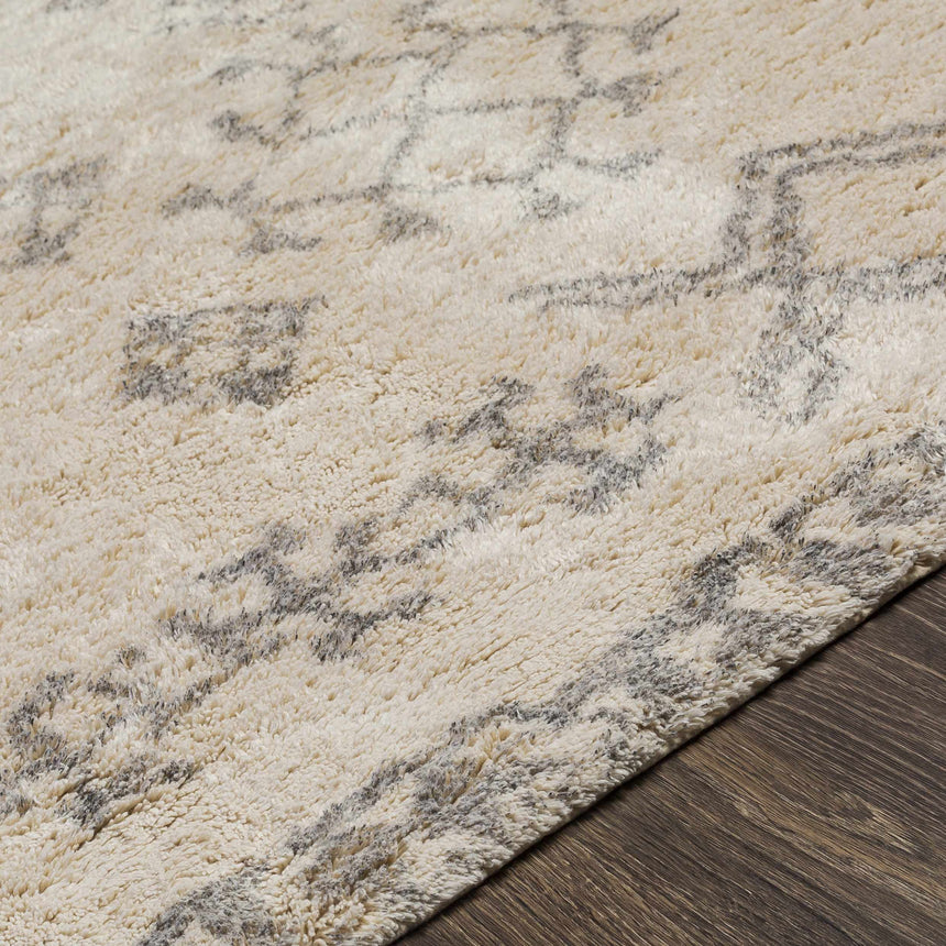 Lebeau Area Carpet - Clearance