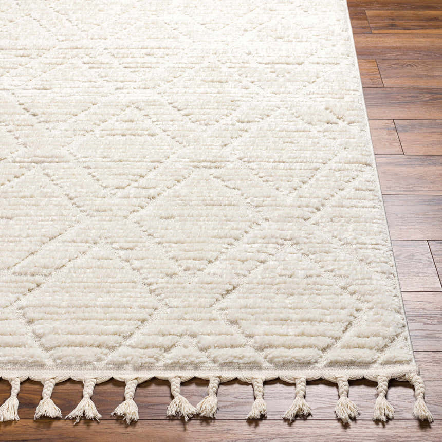 Close up of the bone-colored Maduao Area Rug showing geometric pattern, plush texture, and tassel fringe on wood floor. Front