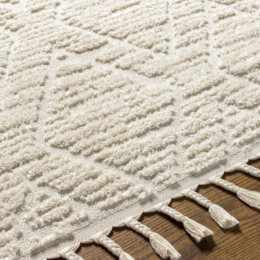 Close up of the bone Maduao Area Rug showing its geometric pattern, soft texture, and braided tassels. Texture