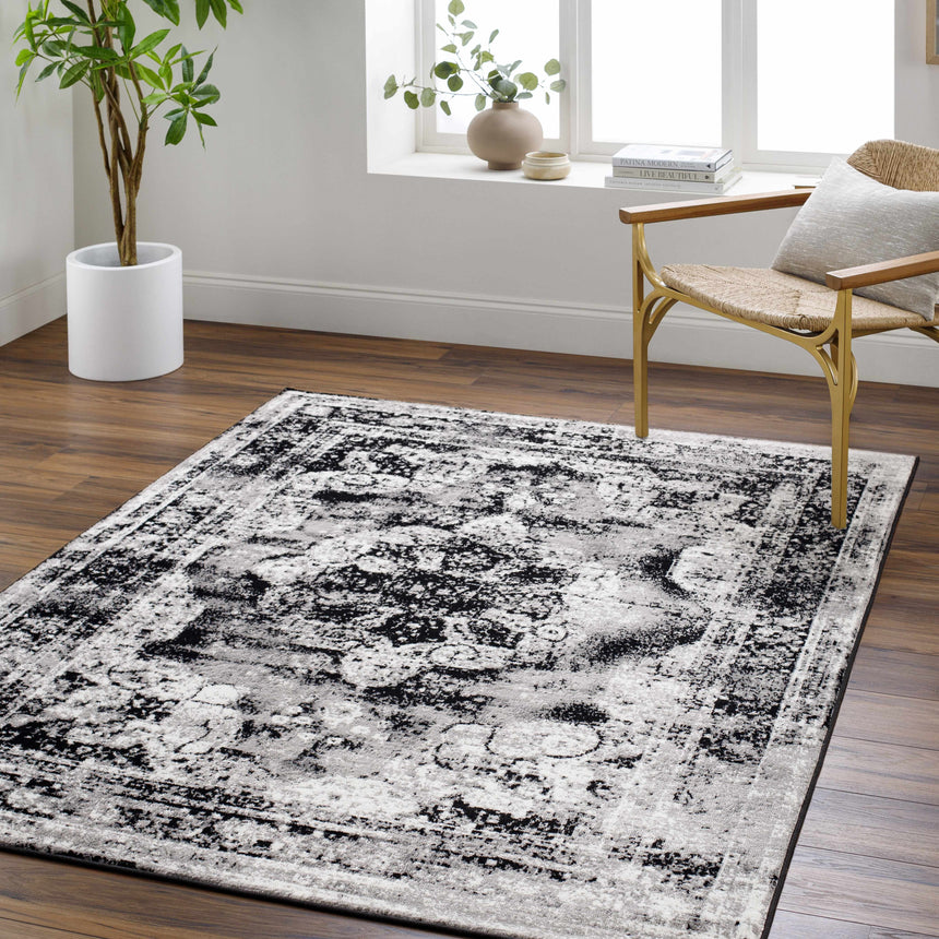 Monte Area Rug
