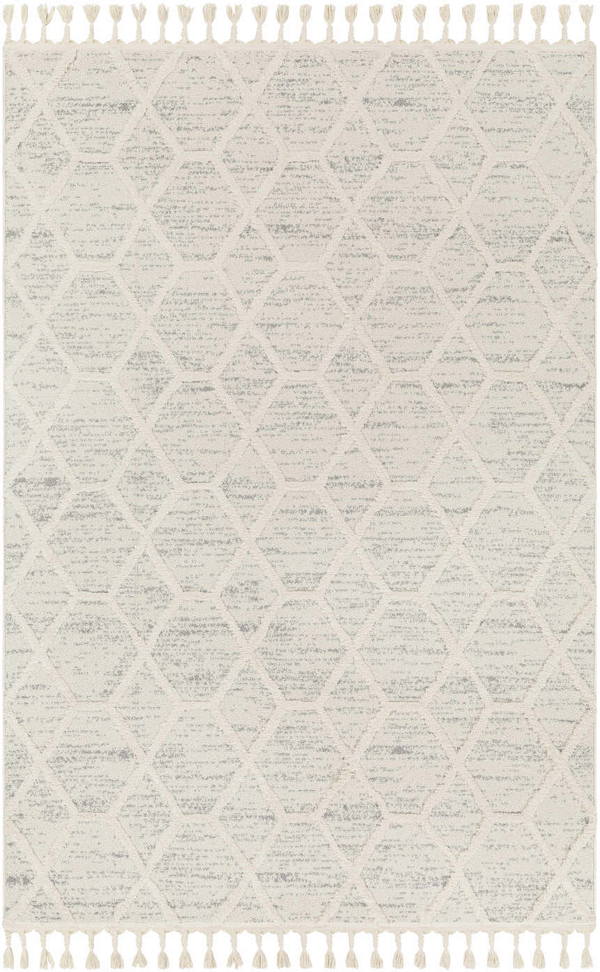 Close-up of Mpumalanga Area Rug. Bone and gray geometric pattern with tassels. Contemporary, Mid-Century Modern style. Design-Rectangle-537