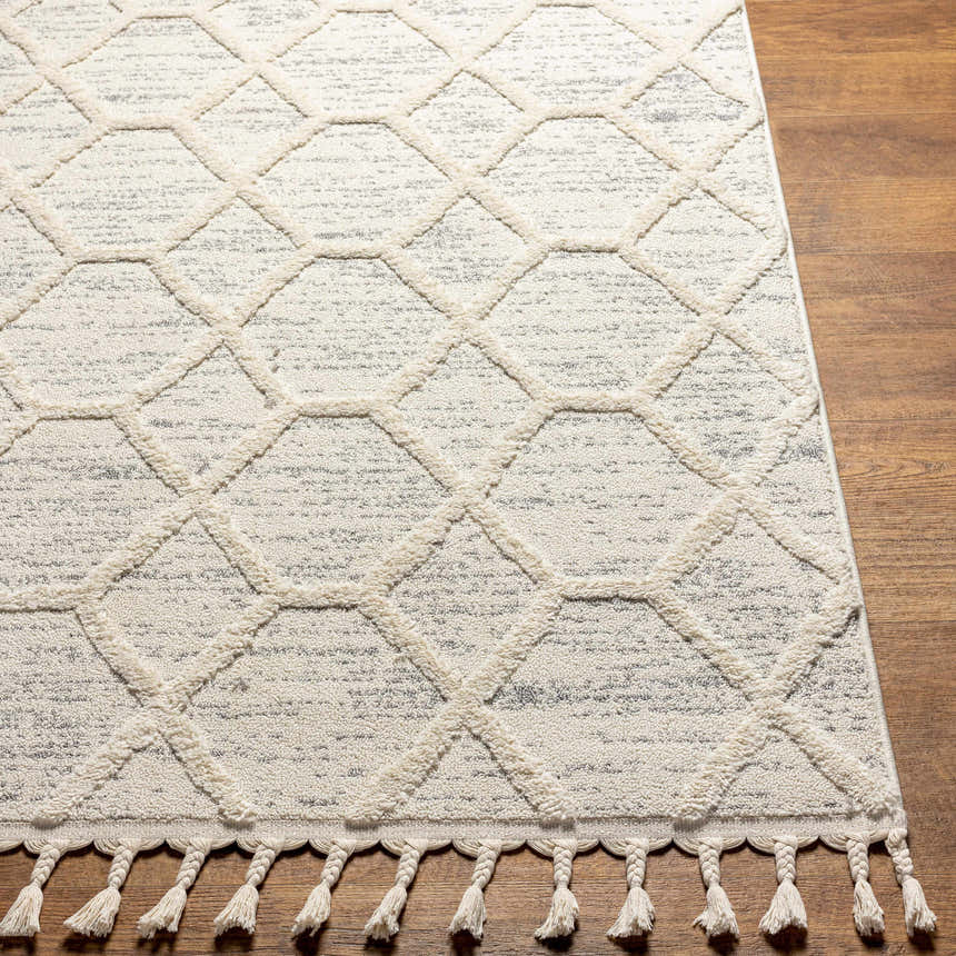Close-up of the Mpumalanga Area Rug. Bone geometric pattern, gray textured background, and braided tassels. Front