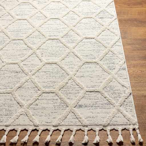 Close-up of the Mpumalanga Area Rug, bone and gray geometric pattern with tassels on a wood floor. Front