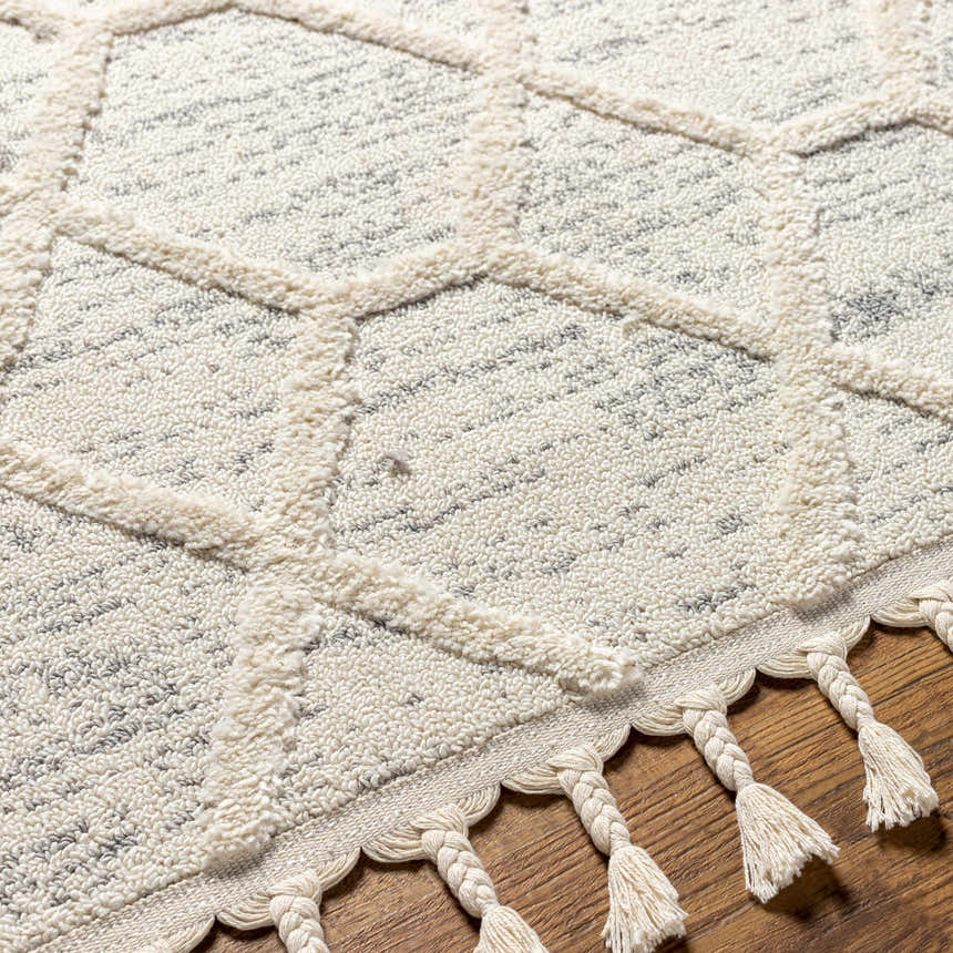Close-up of Mpumalanga Area Rug. Bone geometric pattern, dark gray accents, and braided tassels. Polypropylene texture. Texture
