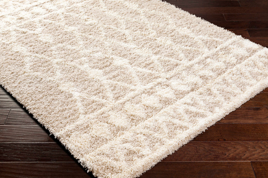 Maso Shag Area Rug - Clearance