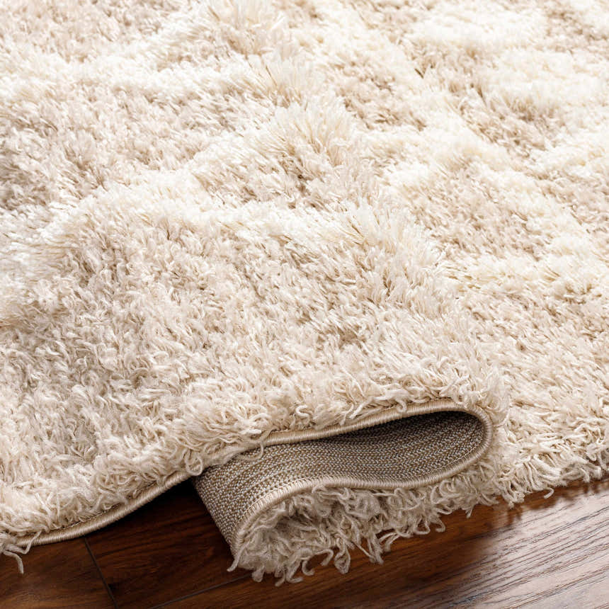 Close-up of the plush Maso Shag Area Rug, showcasing its soft, long fibers and neutral color palette. Fold