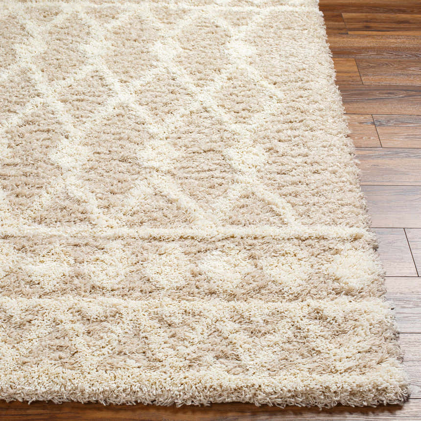 Close-up of the plush Maso Shag Area Rug. Cream and beige geometric shag rug on a wood floor. Front