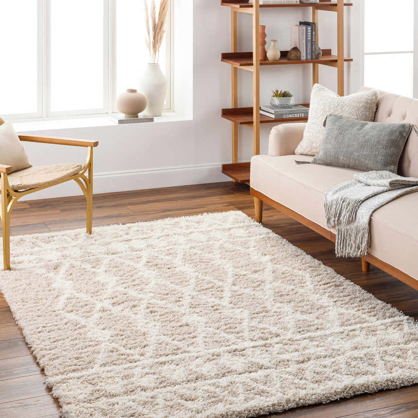 Living room scene with a neutral Maso Shag Area Rug, peach sofa, wood chair, and bookshelf creating a cozy, modern aesthetic. Roomscene-Rectangle