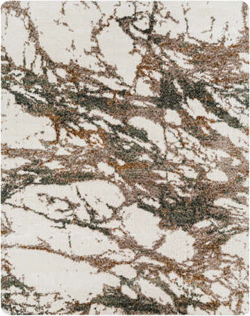 Close-up of the Ngunnawal Cream/Brown Marble Plush Rug, showing its abstract marble-like pattern and soft, shag texture. Design-Rectangle-71010