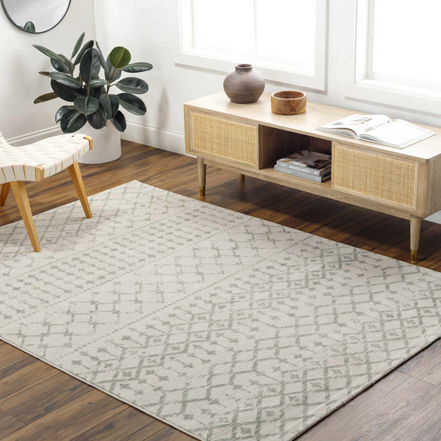 Living room scene with light gray Nolen Area Rug, wood floors, console table, chair, and plant. Roomscene-Rectangle