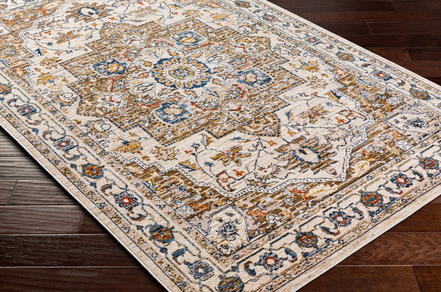 Anas Traditional Style Rug - Clearance