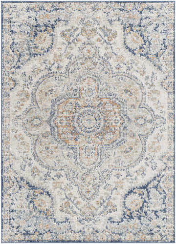 Close-up of the Nyrie Area Rug featuring a traditional light gray, blue, and tan medallion pattern. Design-Rectangle-5376