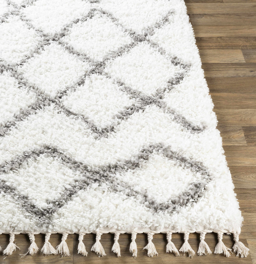 Ogallah Area Rug - Clearance
