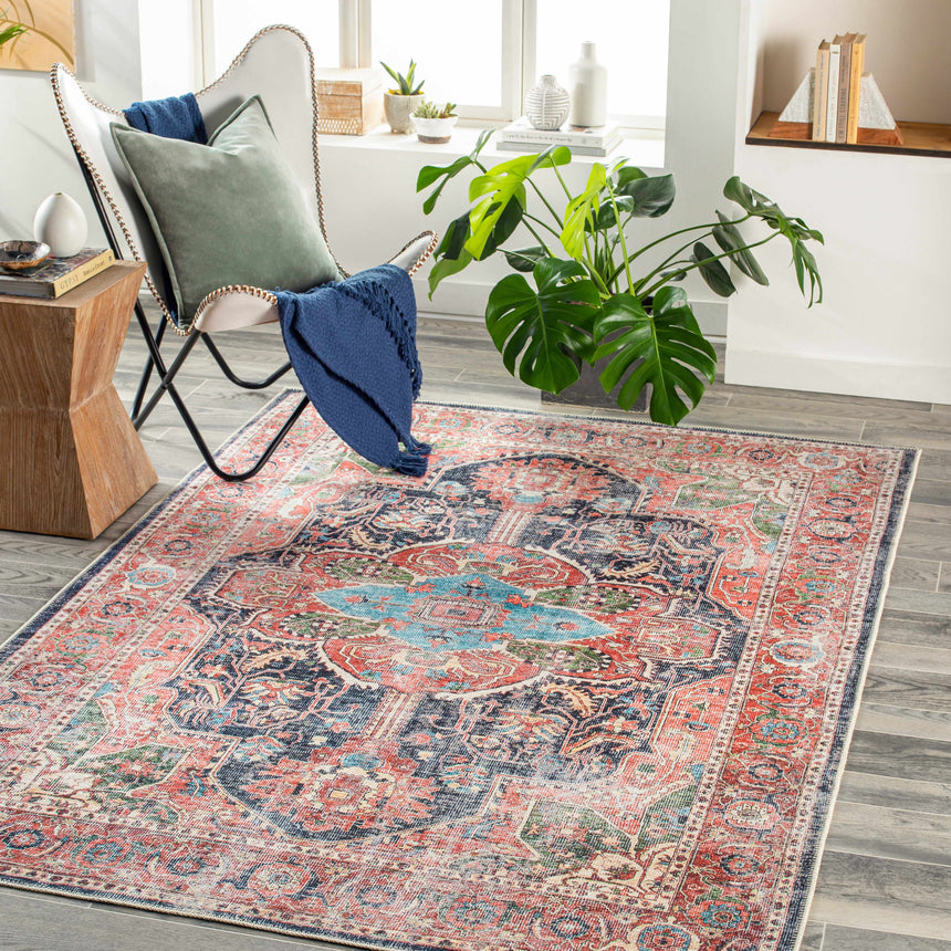 Pasil Washable Area Rug - Clearance