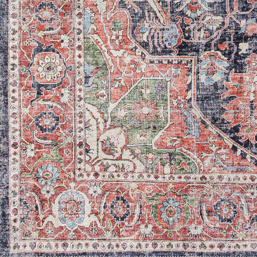 Pasil Washable Area Rug - Clearance