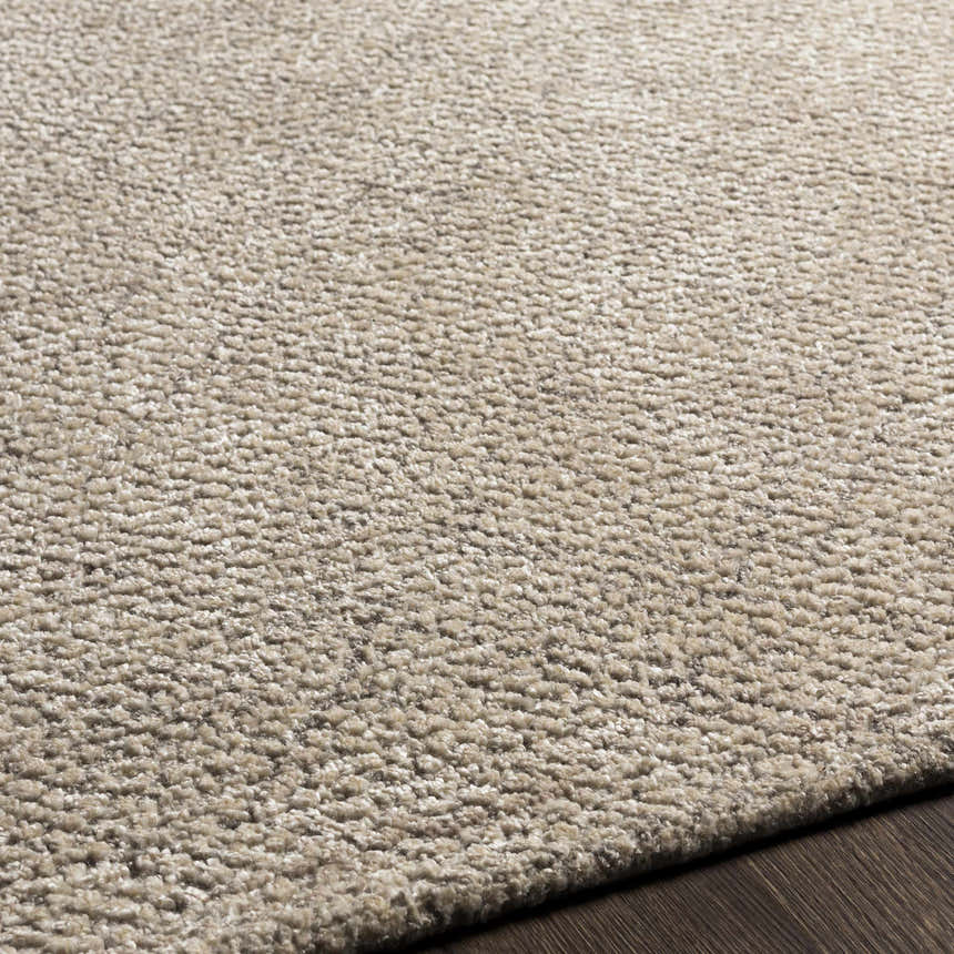 Close-up of the Phalaborwa Area Rug showing its light beige, tan, and gray tones and hand-loomed texture. Texture